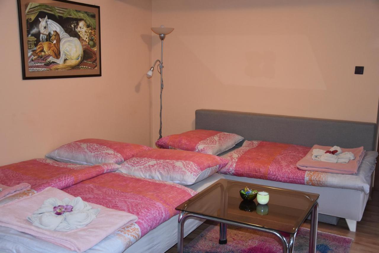 Dafinka Appartement Banská Bystrica Buitenkant foto